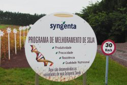 Syngenta